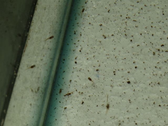 IMG_4841 (640x480).jpg