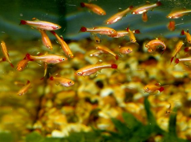 IMG_4874 (640x477) (2).jpg