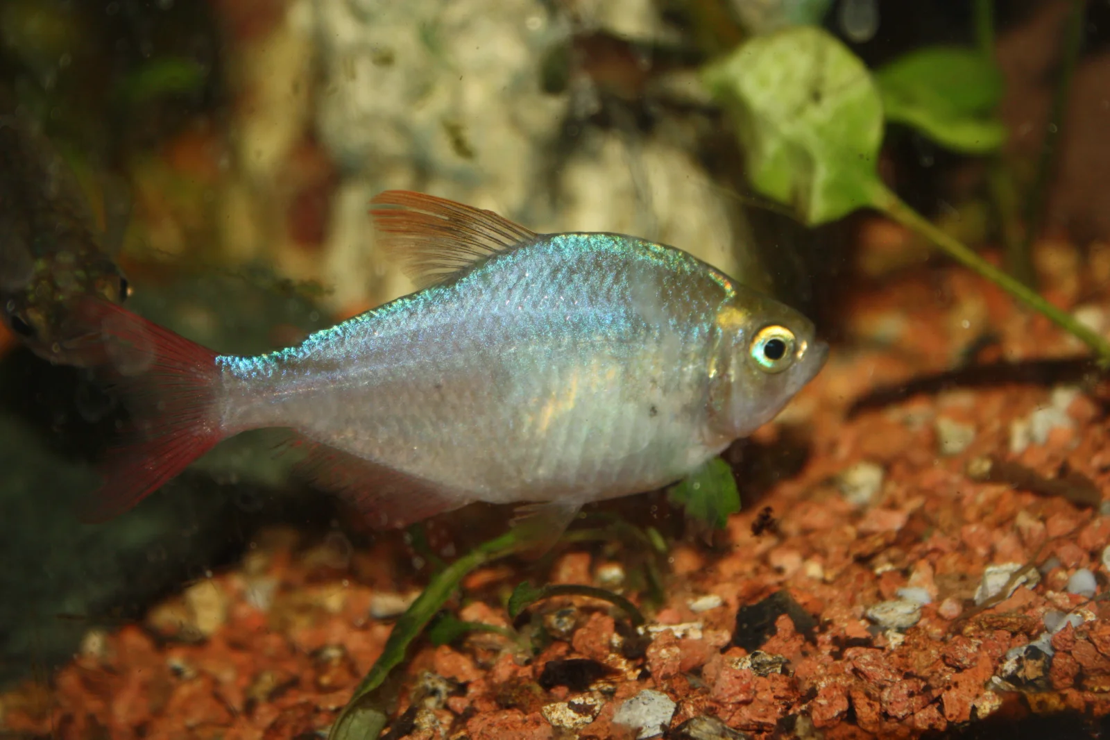 IMG_7006.webp