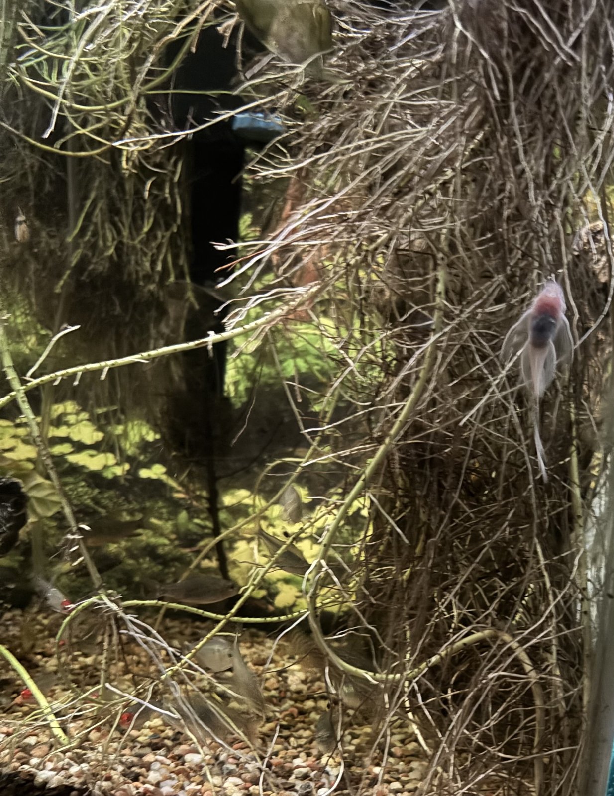 IMG_7570.jpeg