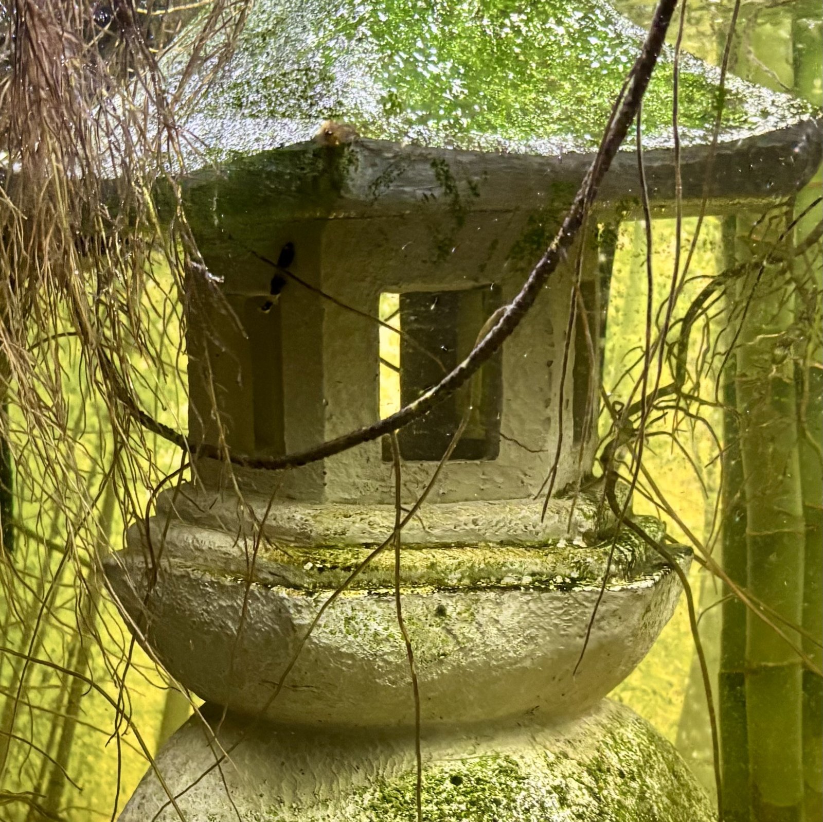 IMG_7696.jpeg