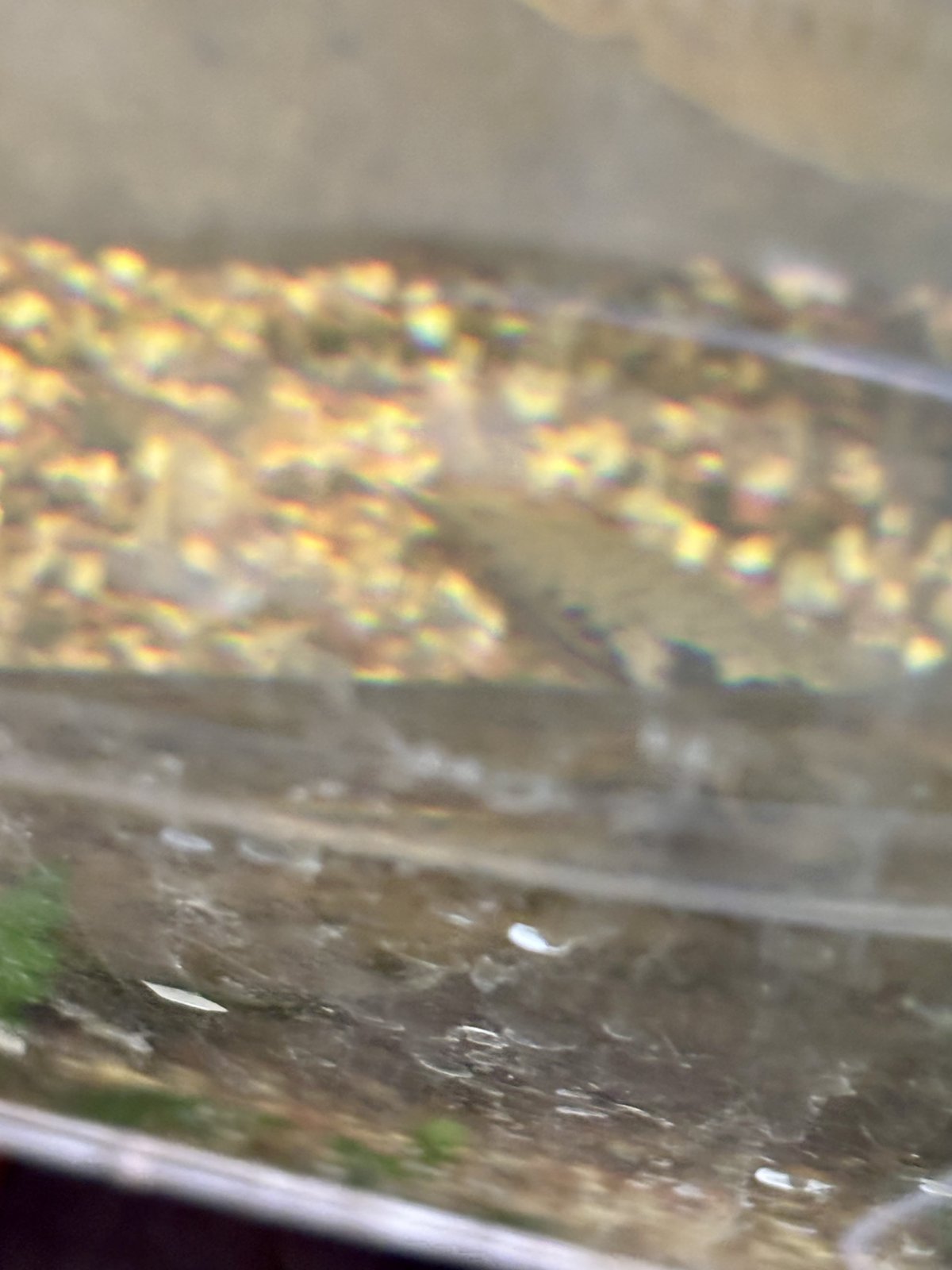 IMG_7860.jpeg