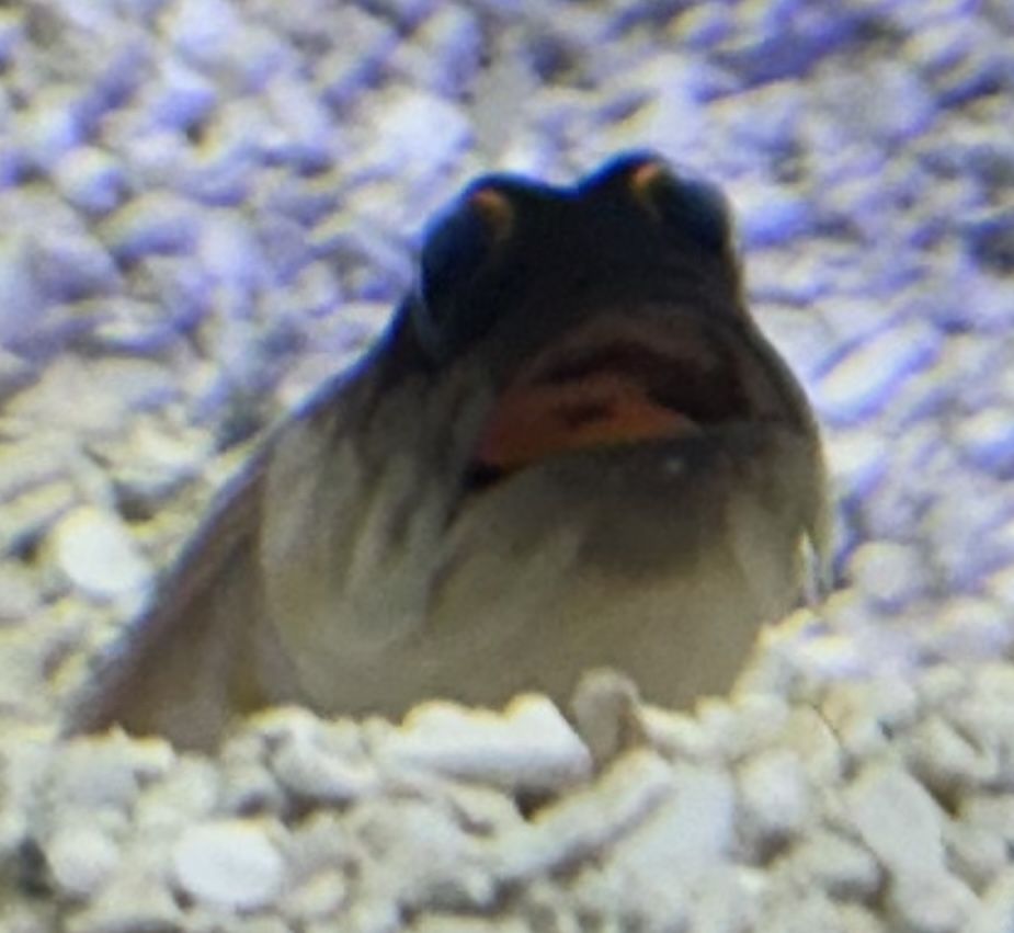 IMG_8677.jpeg