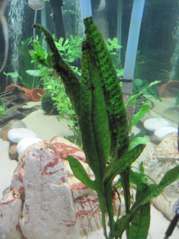 IMG_9194.JPG