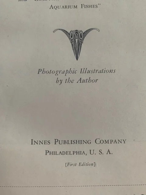 innes Philly.webp