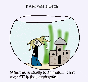 kedfish2.gif