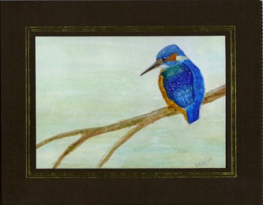 kingfisher_2.jpg