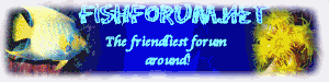logo3.gif