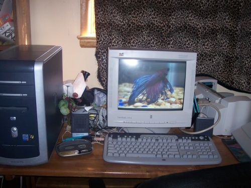 mine.JPG