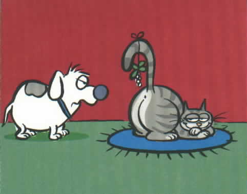 mistletoe_cat_joke.jpg