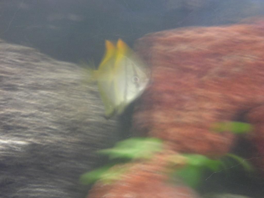 mono resize2.jpg