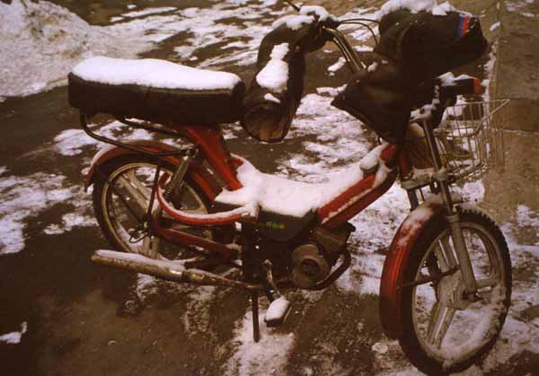 moped5.jpg