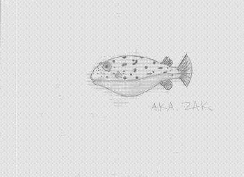 My_puffer_fish.jpg