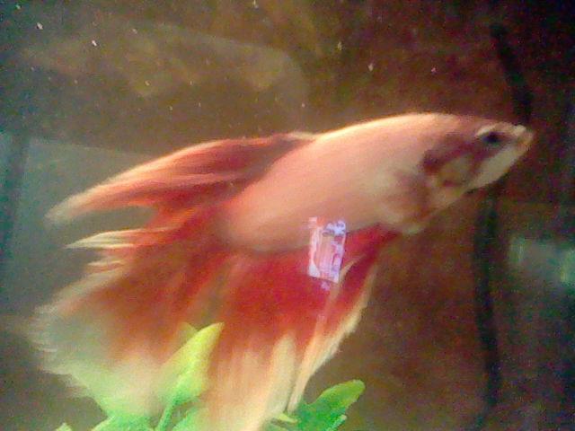 new guy4.jpg