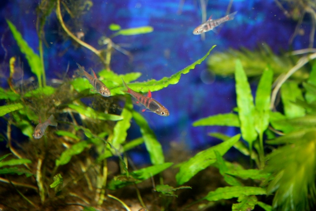 new jae good (640x427).jpg