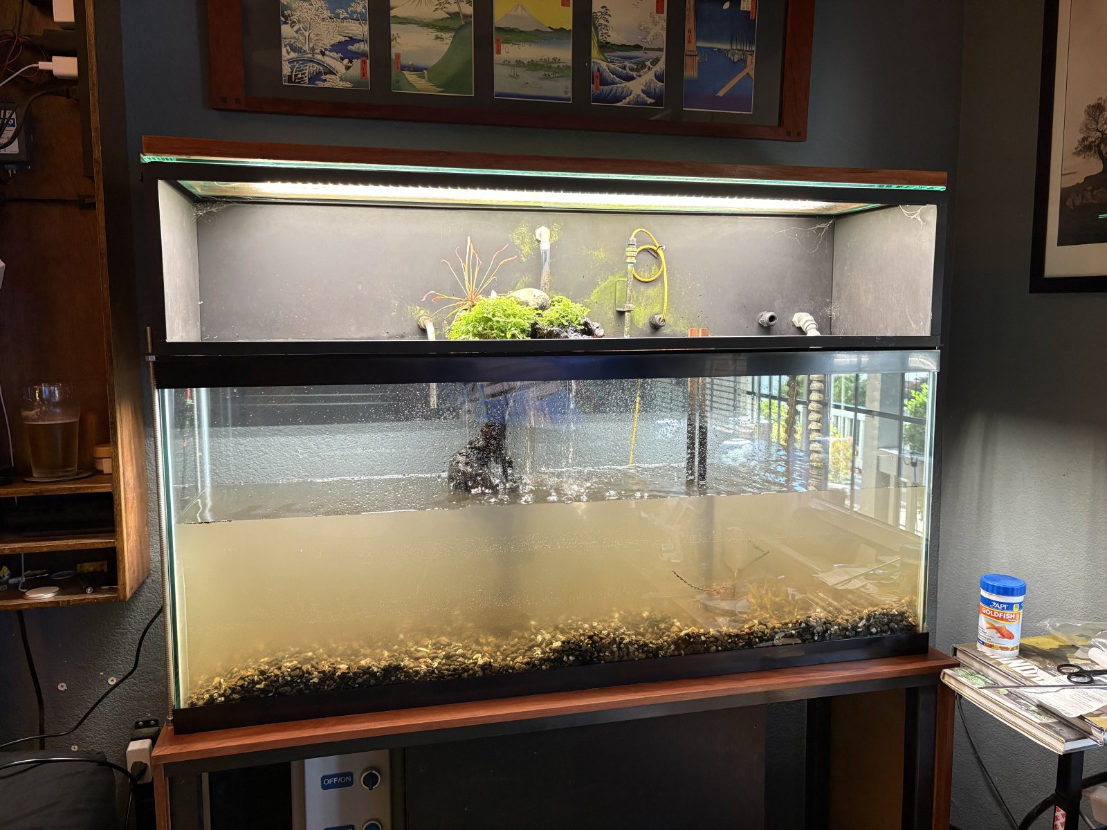 new tank.JPG