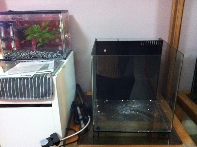 new tank.jpg
