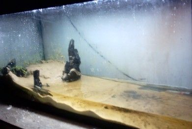 new_fishroom_pictures_6.11.06_017.jpg