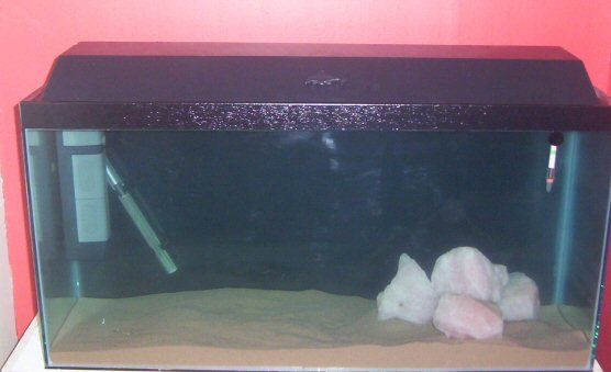 newtank.jpg