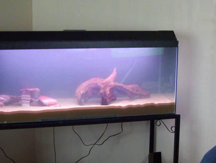 newtank2.jpg