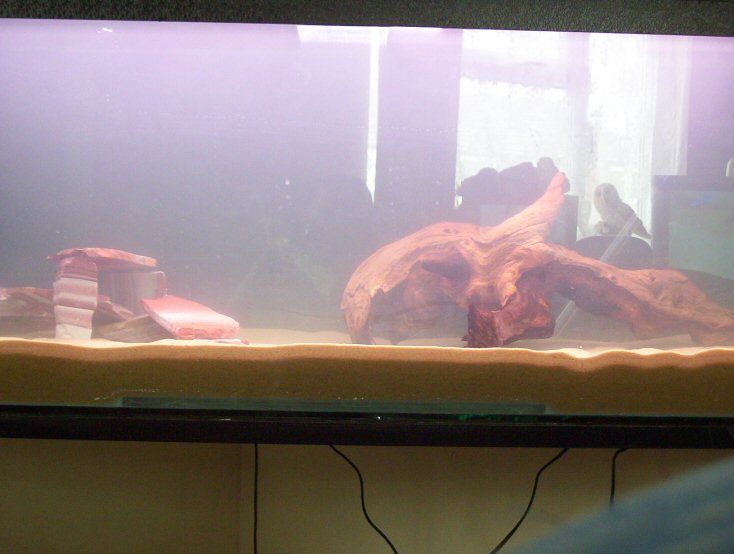 newtank3.jpg