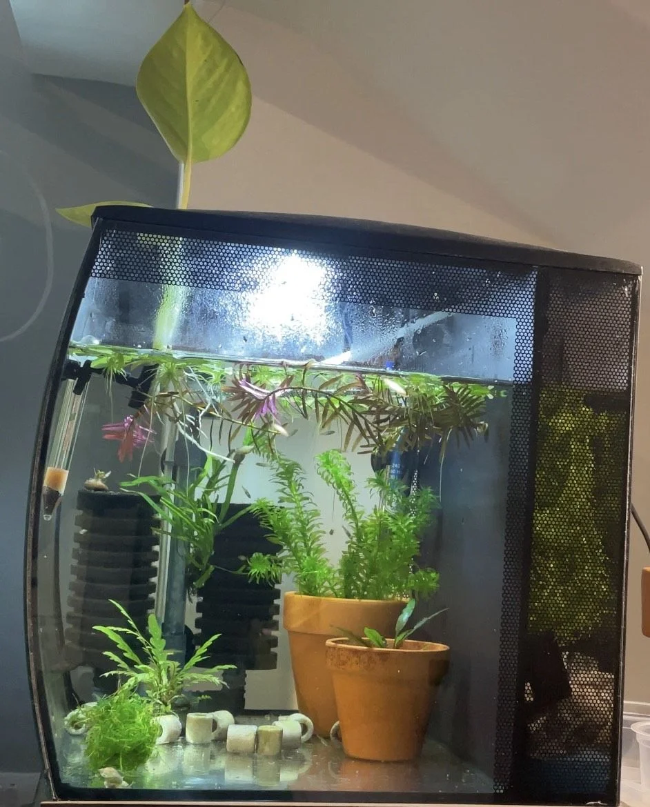 No.6 Fry Tank.jpg