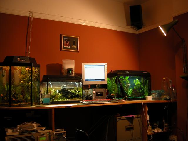 office.jpg