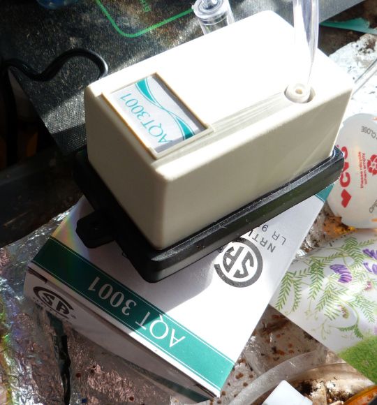OLD but unused air pump...