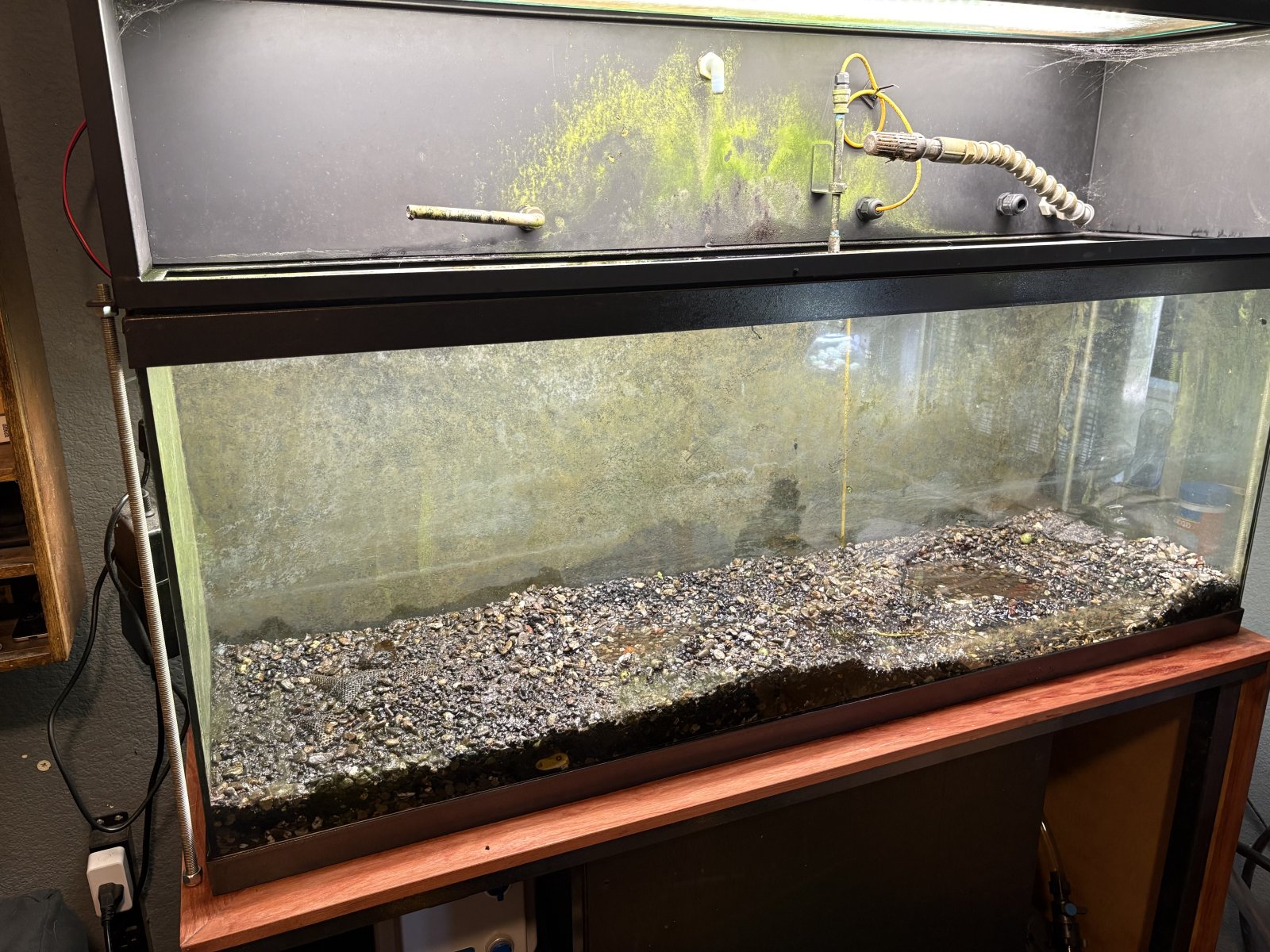 old tank.JPG