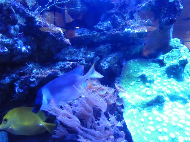 P1000192 (Small).JPG