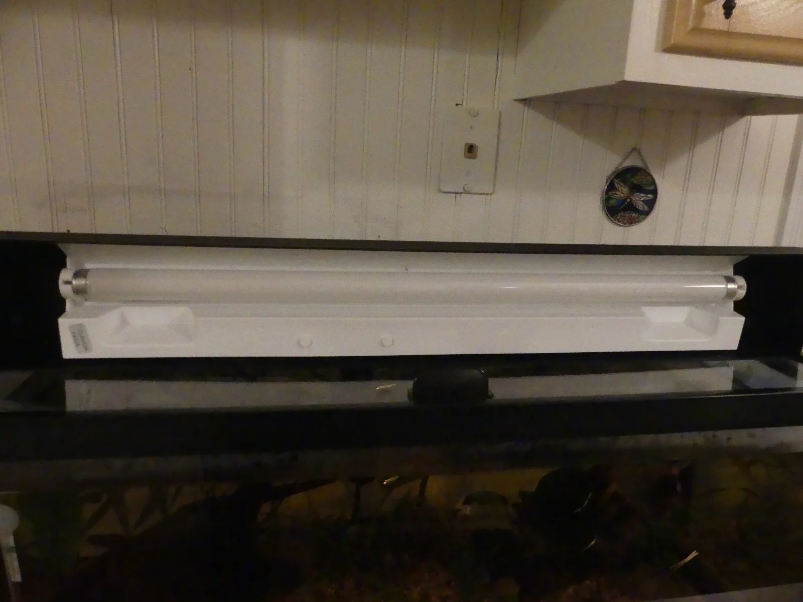 P1010540.webp
