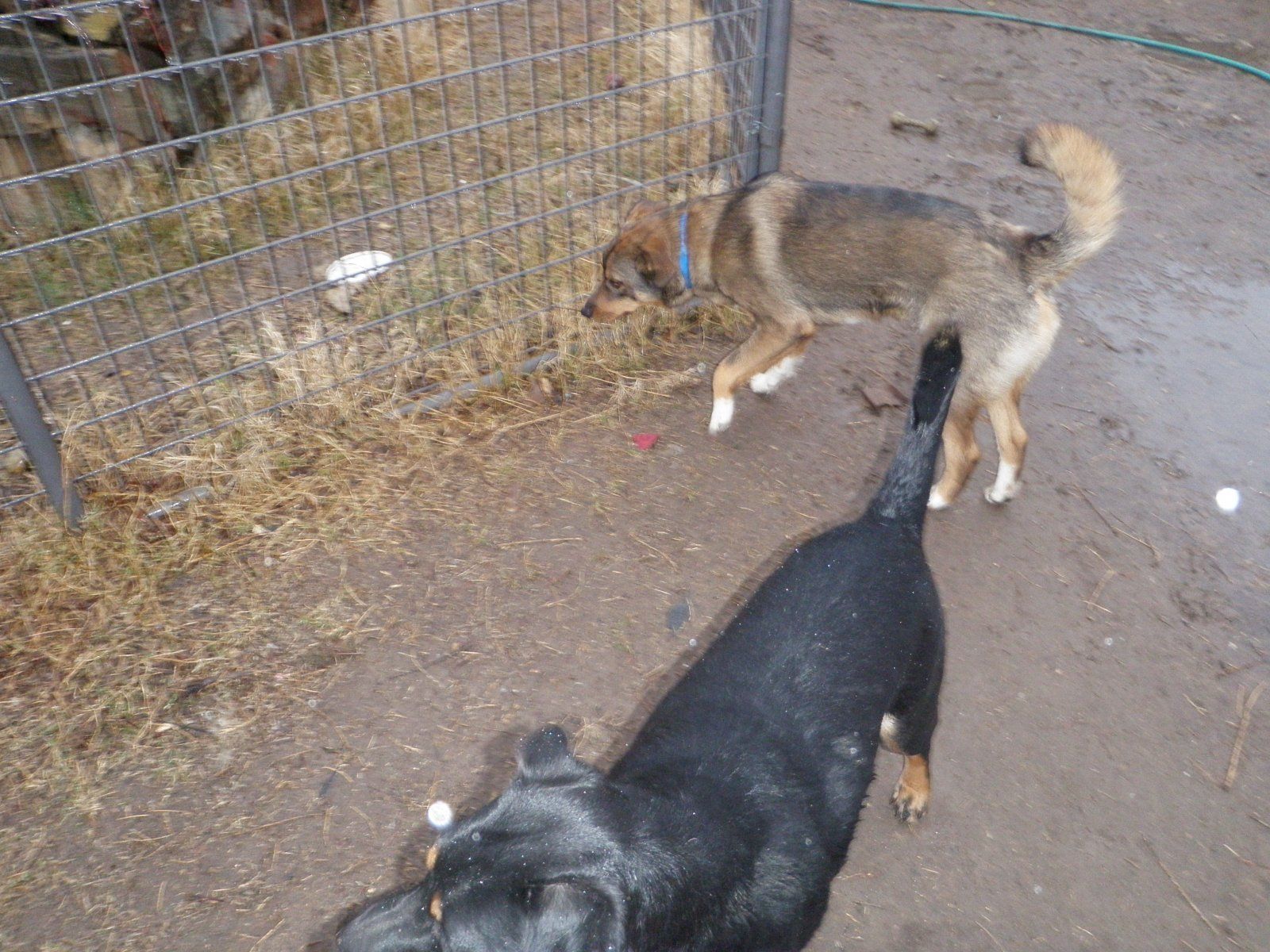 P1010677.JPG