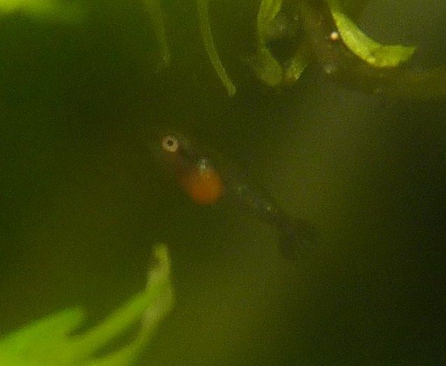 P1050130.JPG