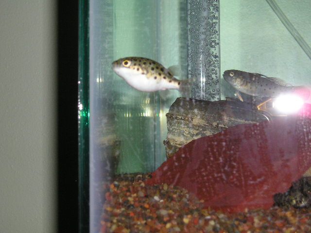 P7290036.JPG
