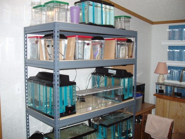 PA110002__640_x_480_.jpg
