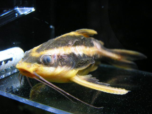 PA250003.JPG