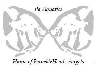 Pa_Aquatics_Final_3.JPG