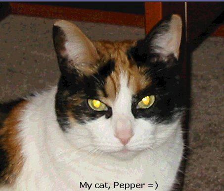 PepperHead.jpg