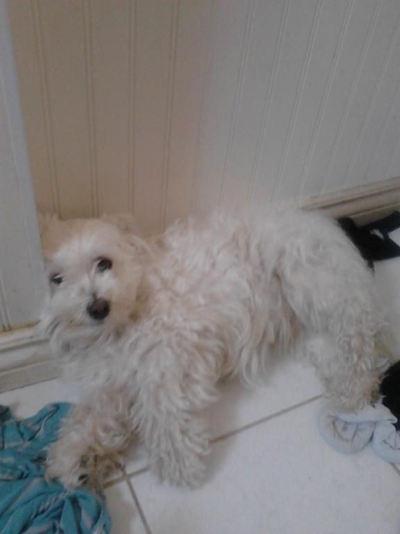 Phone Pictures 197.jpg