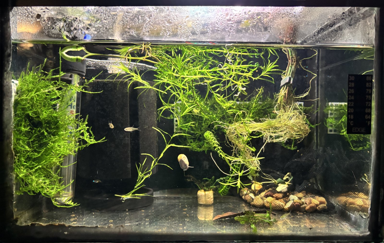 Photo 20-10-2025, 23 31 47.jpg