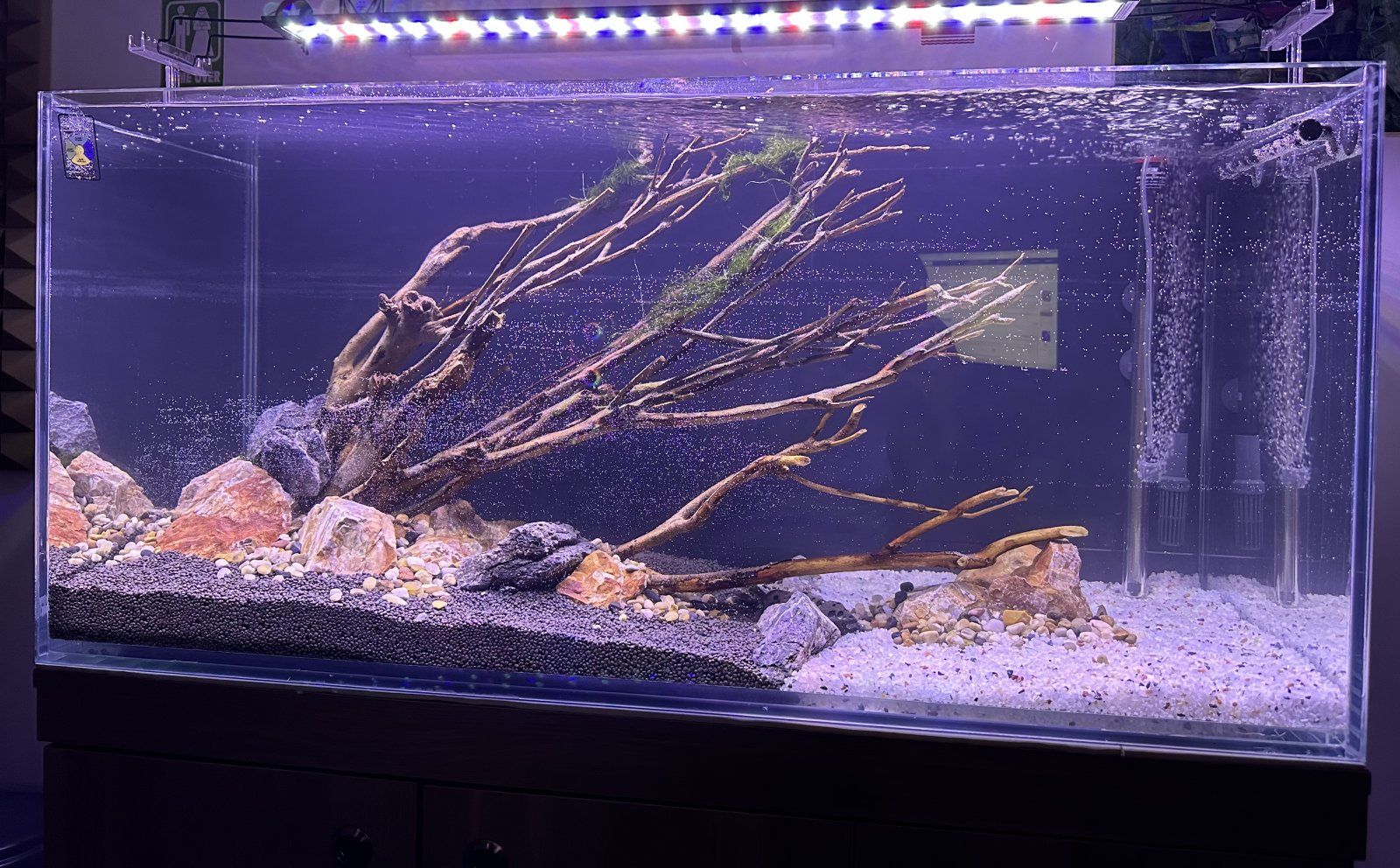 Photo 22-06-2023, 12 37 24 AM.jpg