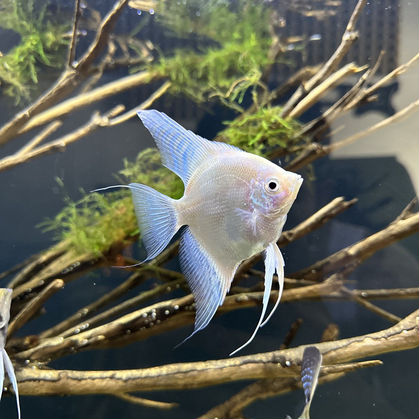 Photo 29-07-2023, 3 51 17 PM.jpg