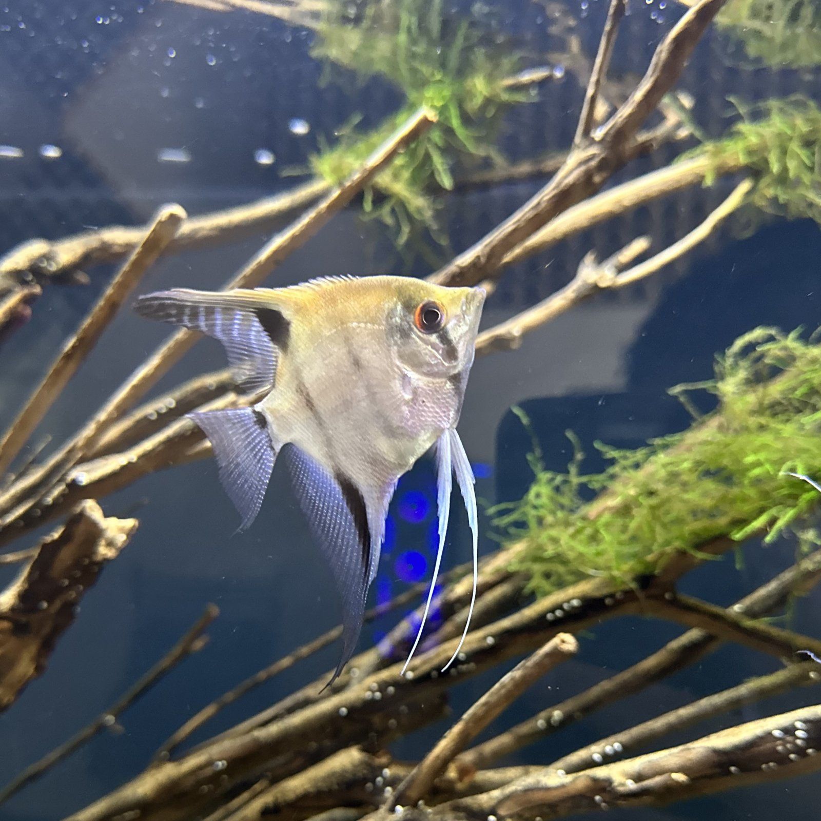 Photo 29-07-2023, 3 51 21 PM.jpg