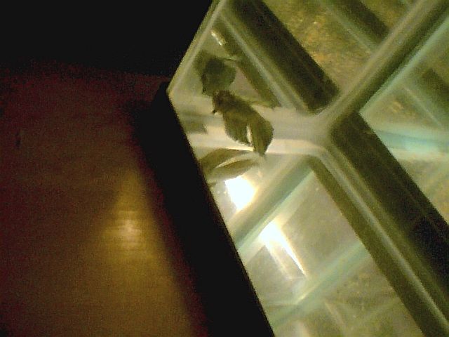 Photo001.jpg