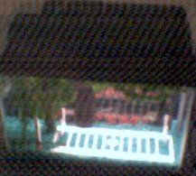 Photo005.jpg