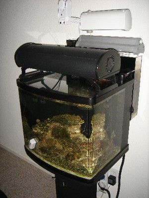pic35_cprrefugium4.jpg