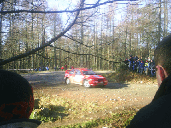 PIC_0034_copy.gif