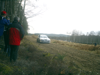 PIC_0043_copy.gif