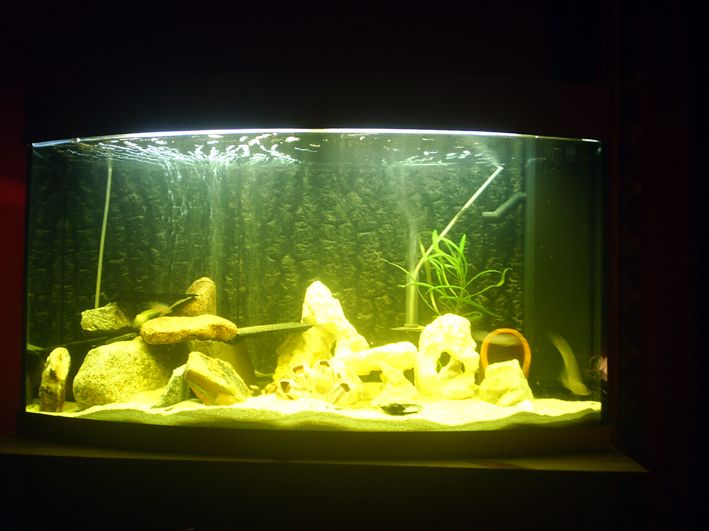 pic_2.jpg
