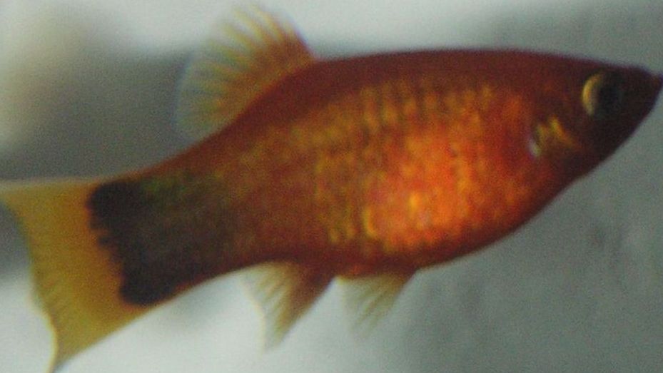 PICT00041.jpg